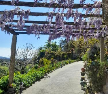 Oliveira de Frades Maison | Alojamento São Lourenço