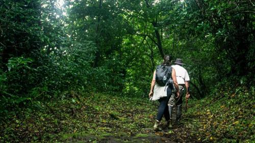 Pacuare Reserve Lit Et Petit-Déjeuner | Alojamiento OYE