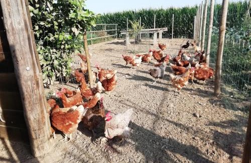 Fonalleras Maison | Alojamiento Rural Mas Pareta