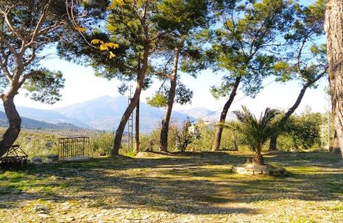 Jaen Maison | Alojamiento Rural Medios Panes