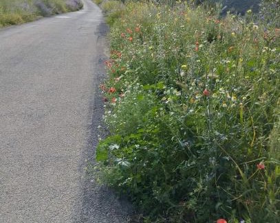 Solana del Pino Maison | ALOJAMIENTO TURISTICO LAS SOLANERAS