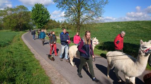 Moorgrund Autre | Alpaka-Tipi-Park