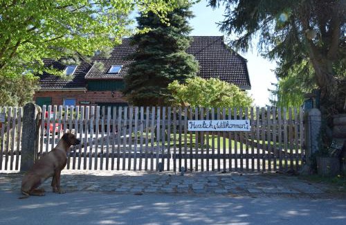 Charlottenthal Appartement | Alpakatherapie und Ferienhof Charlottenthal