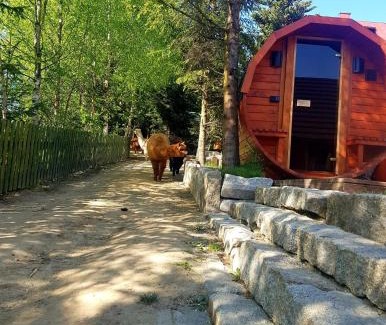 Nowy Targ Maison | Alpakowy raj