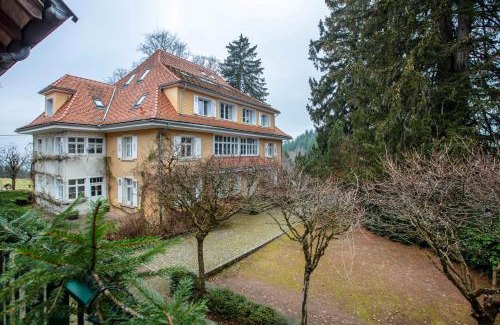Schopfheim Appartement | Alpenblick-Steineckhof