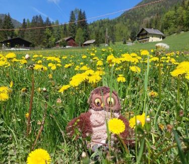 Windisch Bleiberg Appartement | Alpenloft Theresia