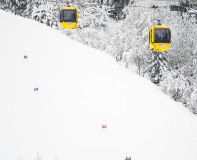 Fieberbrunn Appartement | Alpenstyle Resort Fieberbrunn by AlpenTravel