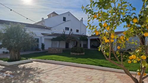 Tajarja Maison | Alquería de Tajarja
