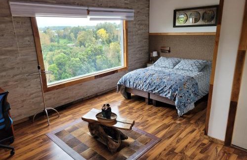 Rio Bueno Appartement | Altavista cabaña con vista panoràmica al Rìo bueno