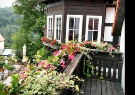 Neuleiningen Hôtel | Alte Pfarrey