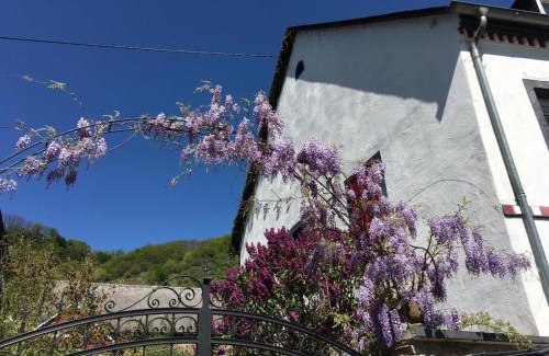 Hatzenport Maison | Alter Winzerhof