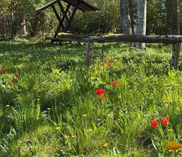 Wardow Appartement | Altes Polchower Pfarrhaus