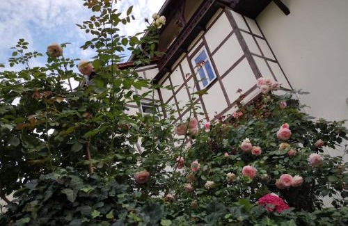 Weissensee Appartement | Altes Standesamt Weißensee