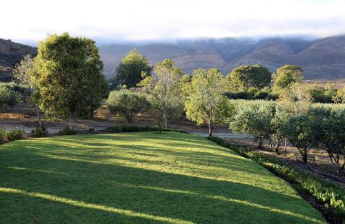 Barrydale Chalet De Ski | AlteVrede Olive Farm