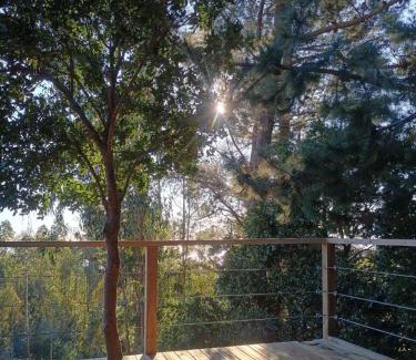 Curanipe Maison | Alto Curanipe