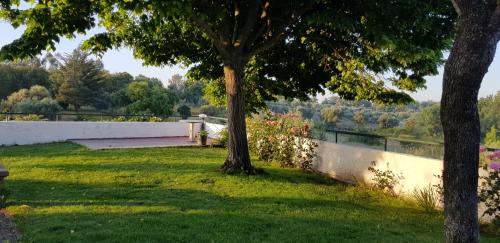 Castelo Branco Maison | Alto do Sobreiro