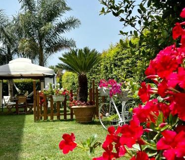 Zambrone Appartement | Alto Giardino