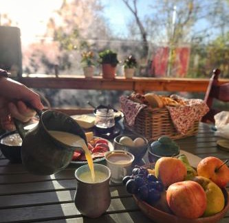 Colti Maison | Alunis RETREAT