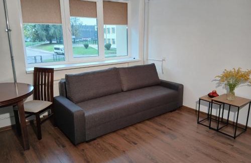 Alytus Appartement | Alytus Studio 45