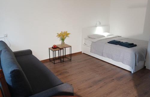 Alytus Appartement | Alytus Studio 45