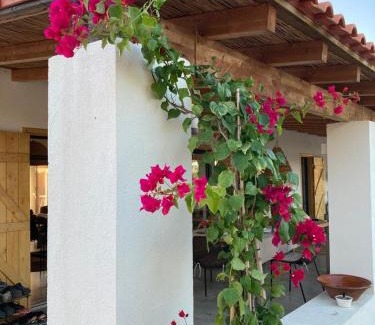 Grandola Maison | Amélia's House (Casa das Amélias)