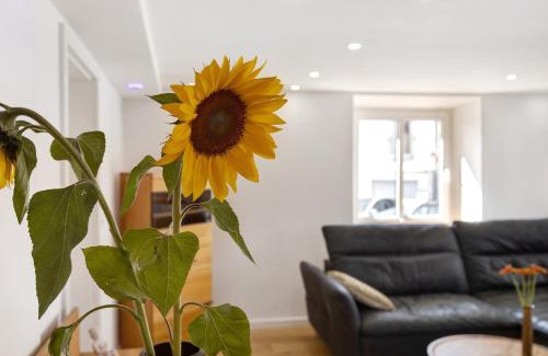 Gailingen Appartement | am Hochrhein Desko