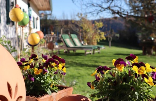 Feldbach Appartement | Am Vogelnest - Sonnenhaus Grandl