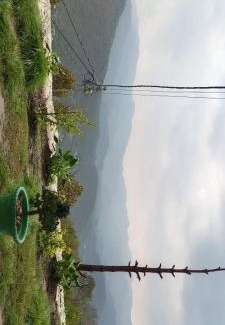 Almora Chalet De Ski | Aman Homestay