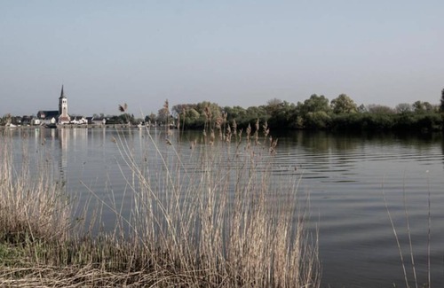Sint-Amands Appartement | Amand'eau - zwemvijver, zonneterras, grote tuin
