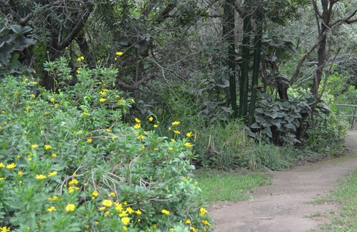 Thorny Bush Game Reserve Maison | Tente de brousse Amanzimlotzi Riverside pour 3 adultes à Limpopo, parc Kruger