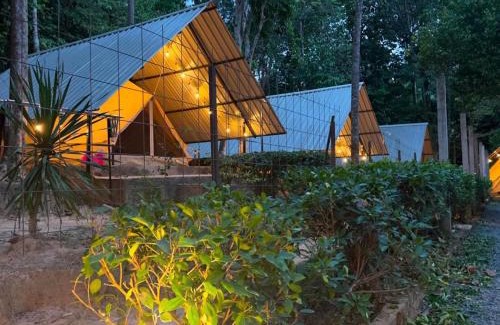 Kuala Tahan Autre | Amar Camp Taman Negara Kuala Tahan