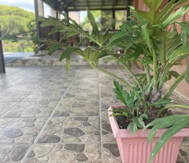 Chilamate Appartement | Amazilia