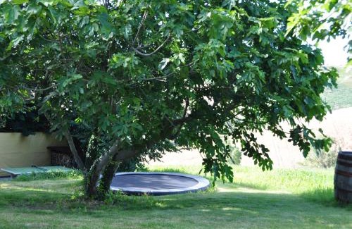 Belvedere Ostrense Appartement | Amazing apartment in Belvedere Ostrense with garden
