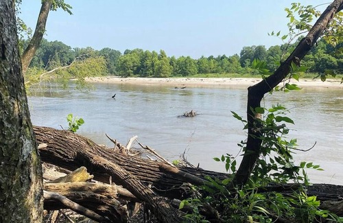 Talisheek Cabine | Amazing Campground w/80 acres to explore along the beautiful Bogue Chitto River!
