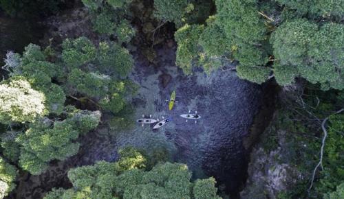 Whangamata Cabine | Amazing Kiwi Lodge