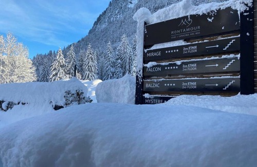 Montriond Appartement | Mont Amour - Loft Falcon