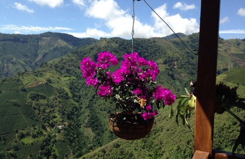 Salgar Villa | Magique ! Finca dans la zone du café près de Medellin