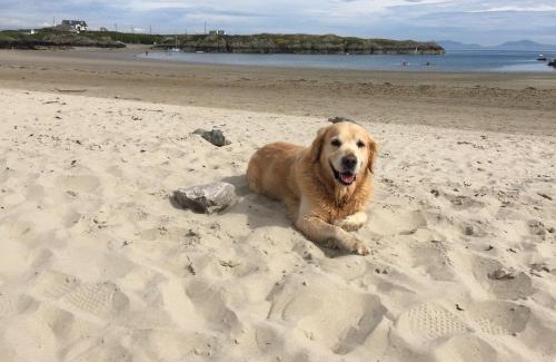Rhoscolyn Maison | Amazing Sea Views, Short Walk to the Beach