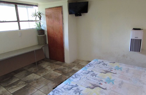 Thorny Bush Game Reserve Maison | Amazing "tree in lounge" Eco apartment with leopards passing by at night