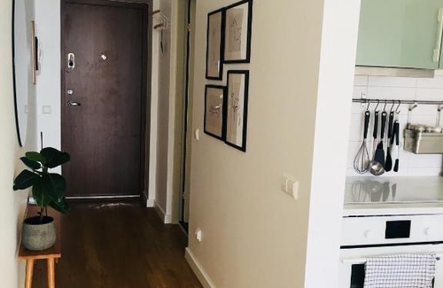 Juodkrante Appartement | Amber Adder Apartment