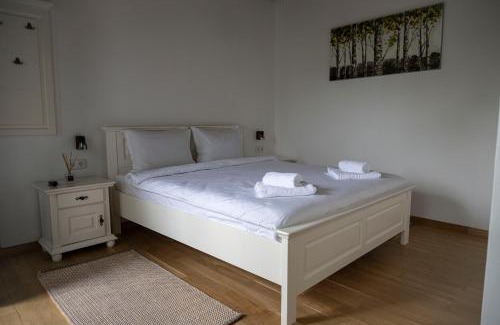 Jibert Hôtel | Amfiteatro