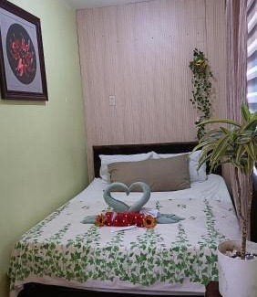 Santo Tomas Maison | Amigas Transient