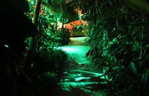 Willemstad Appartement | Amigunan, tropical mini resort - Pariba 1-2p