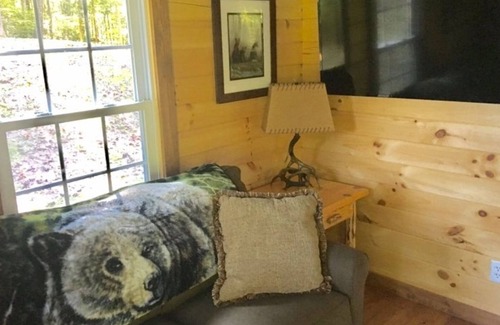 Fort Gay Cabine | Cabane en rondins de style amish avec vue sur le ravin privé