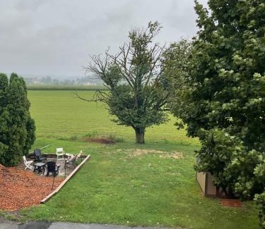 Gap Appartement | Amish Country Stay w/Buggy Ride