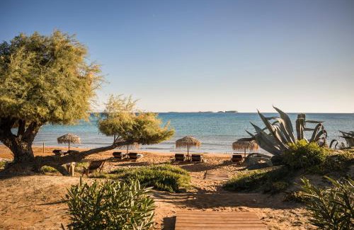 Kefalonia Appartement | Ammos Suite-Grand Blue Beach Residence