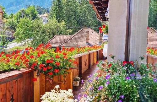 Busteni Appartement | Amor Tirol Bușteni
