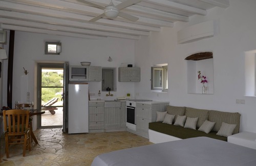 Katapola Maison | Amorgos The Olive Garden "au bord de la mer"