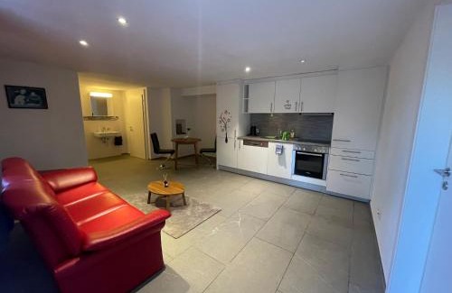 Amsteg Appartement | Amsteg Apartments