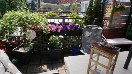 Scheldebuurt Lit Et Petit-Déjeuner | Amsterdam Roof Terrace B&B